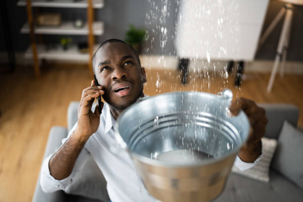 Best Mold removal after water damage  in Martins Additions, MD