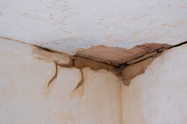 Best Flood damage cleanup  in Martins Additions, MD