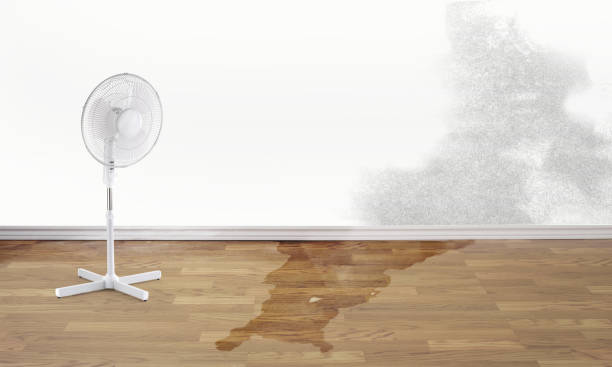 Best Local water damage restoration  in Martins Additions, MD