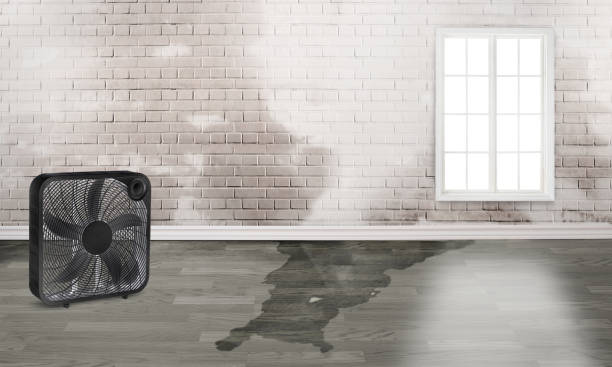 Best Water damage restoration near me  in Martins Additions, MD