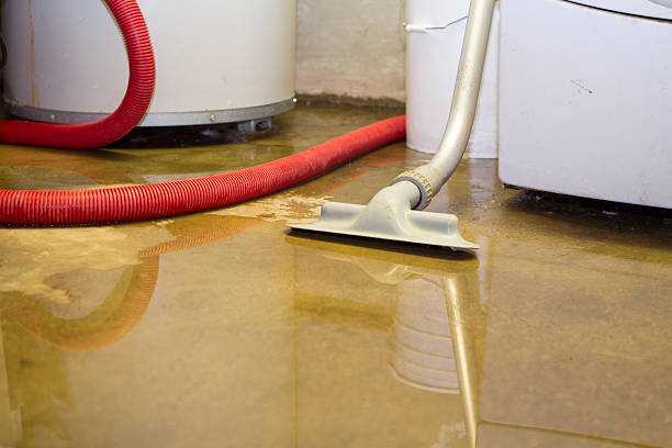 Best Water damage restoration services  in Martins Additions, MD