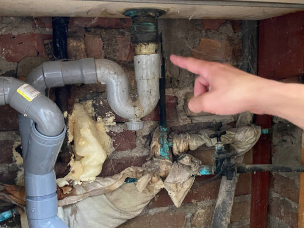 Best 24/7 water damage repair  in Martins Additions, MD