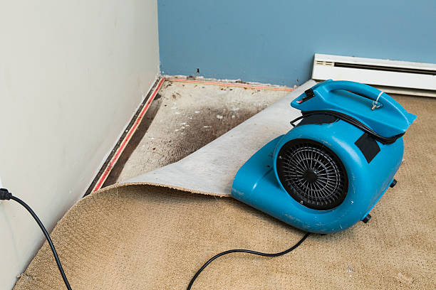 Best 24/7 water damage repair  in Martins Additions, MD